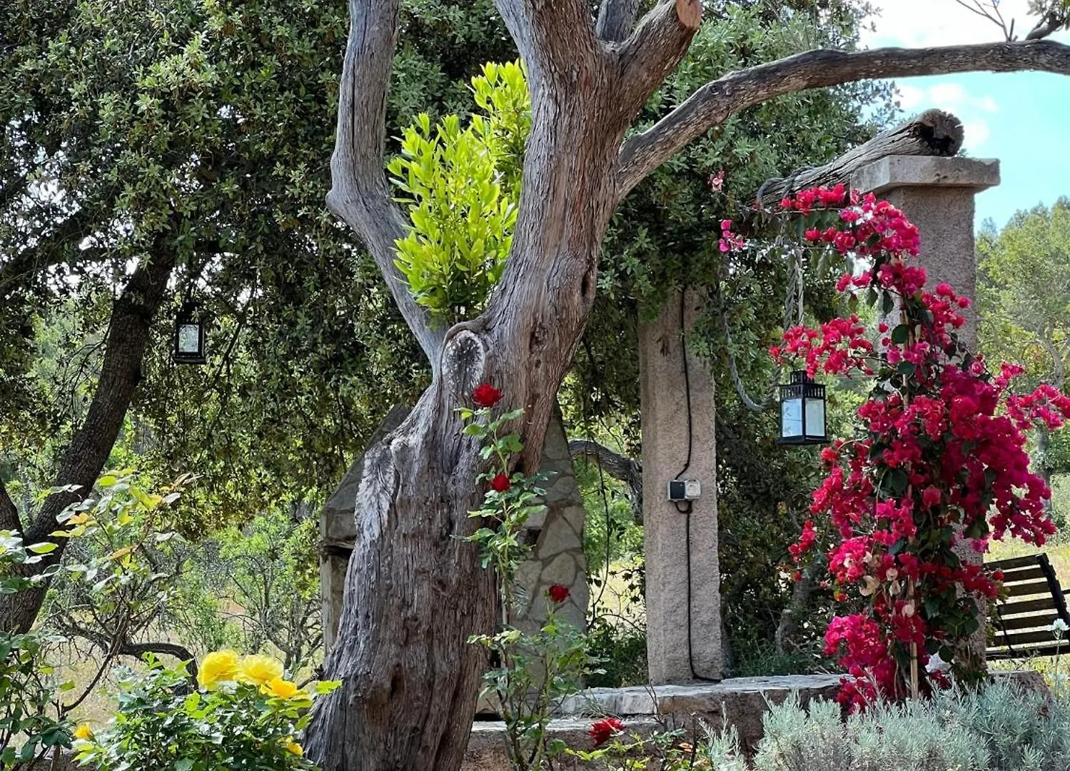 別荘 Finca Canfirella Portocolom フェラニチ スペイン